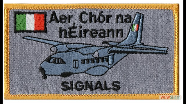 Air Spt Coy